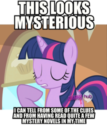 Size: 1353x1584 | Tagged: safe, derpibooru import, edit, edited screencap, screencap, twilight sparkle, mmmystery on the friendship express, hub logo, image macro, mystery in the comments