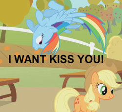 Size: 544x500 | Tagged: safe, derpibooru import, edit, edited screencap, screencap, applejack, rainbow dash, earth pony, pegasus, pony, fall weather friends, appledash, female, grammar error, lesbian, shipping, text