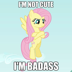 Size: 625x619 | Tagged: safe, fluttershy, pegasus, pony, badass, female, image macro, mare, pink mane, yellow coat