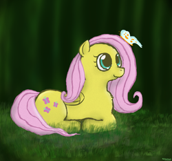 Size: 1390x1294 | Tagged: safe, artist:coco, fluttershy, butterfly, pegasus, pony, cute, fluffy, grass, prone, smiling, solo