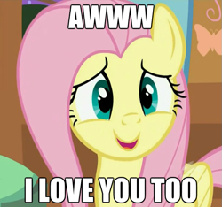 Size: 625x584 | Tagged: safe, fluttershy, pegasus, pony, heartwarming, image macro, love, solo