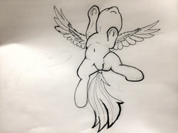 Size: 1500x1125 | Tagged: safe, artist:xbi, derpibooru import, rainbow dash, pegasus, pony, armpits, flying, lineart, monochrome, sketch, traditional art