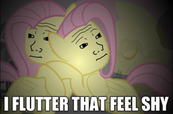 Size: 627x415 | Tagged: safe, fluttershy, pegasus, pony, dem feels, female, hug, image macro, mare