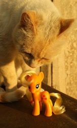 Size: 364x600 | Tagged: safe, applejack, cat, brushable, irl, photo, toy