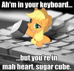 Size: 499x483 | Tagged: safe, applejack, earth pony, pony, accent, bronybait, female, i hid in your keyboard, image macro, keyboard, mare, stock vector, sugarcube