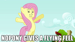 Size: 625x351 | Tagged: safe, fluttershy, pegasus, pony, dem feels, female, flutterbitch, image macro, mare