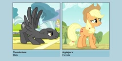 Size: 647x326 | Tagged: safe, applejack, thunderlane, earth pony, pony, meme, shipping, shipyard lulz, thunderjack, vector