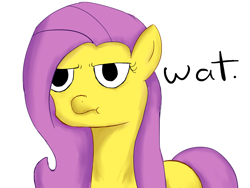 Size: 1200x900 | Tagged: safe, artist:branduhn, fluttershy, pegasus, pony, female, mare, pink mane, wat, yellow coat