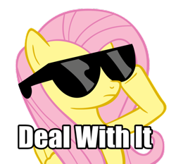 Size: 800x744 | Tagged: safe, artist:j-brony, fluttershy, pegasus, pony, deal with it, image macro, sunglasses