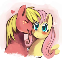 Size: 750x732 | Tagged: safe, artist:ende26, big macintosh, fluttershy, earth pony, pegasus, pony, blushing, fluttermac, licking, male, shipping, stallion, straight