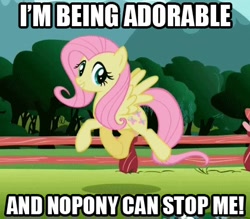 Size: 420x368 | Tagged: safe, artist:mezkalito4p, edit, edited screencap, screencap, fluttershy, pegasus, pony, may the best pet win, cute, grin, image macro, looking at you, prancing, skipping, smiling, solo, spread wings, trotting