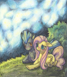 Size: 800x919 | Tagged: safe, artist:yakalentos, fluttershy, thunderlane, pegasus, pony, blushing, female, male, shipping, straight, thundershy