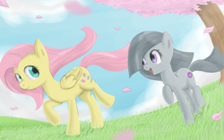 Size: 2400x1500 | Tagged: safe, artist:speccysy, fluttershy, marble pie, pegasus, pony, female, happy, lesbian, marbleshy, shipping, smiling