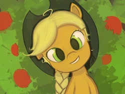 Size: 1600x1200 | Tagged: safe, artist:maxtaka, applejack, earth pony, pony, solo