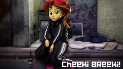 Size: 1920x1080 | Tagged: safe, artist:3d thread, artist:creatorofpony, sunset shimmer, human, equestria girls, 3d, alcohol, backpack, beer, beer bottle, beer can, cheeki breeki, gopnik, graffiti, pavement, pizza box, russia, s.t.a.l.k.e.r., sexy, slav, source filmmaker, ukraine