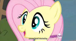 Size: 637x348 | Tagged: safe, screencap, fluttershy, pegasus, pony, female, hub logo, mare, youtube caption