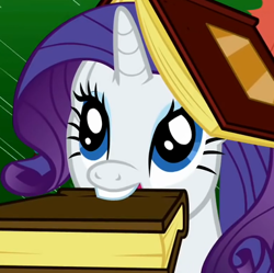 Size: 382x381 | Tagged: safe, rarity, pony, unicorn, book, female, horn, mare, white coat