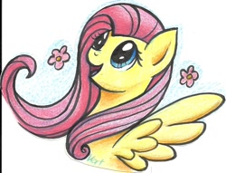 Size: 930x712 | Tagged: safe, artist:vertrev, fluttershy, pegasus, pony, female, mare, open mouth, solo, spread wings, wings