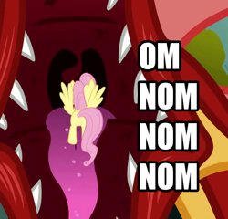 Size: 562x540 | Tagged: safe, basil, fluttershy, dragon, pegasus, pony, image macro, imminent vore, maw