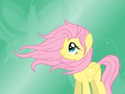 Size: 2592x1944 | Tagged: safe, artist:miesmauz, fluttershy, pegasus, pony, female, mare, solo, windswept mane