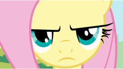 Size: 11520x6480 | Tagged: safe, artist:lazypixel, fluttershy, pegasus, pony, putting your hoof down, absurd resolution, unamused, vector