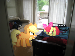 Size: 3264x2448 | Tagged: safe, artist:pangbot, apple bloom, applejack, pony, bed, high res, irl, photo, ponies in real life, shadow, sofa, vector