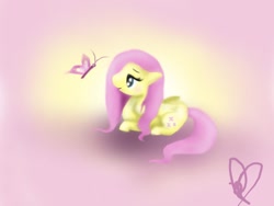 Size: 640x480 | Tagged: safe, artist:poppaaybarakitten, fluttershy, pegasus, pony, female, mare, pink mane, solo, yellow coat