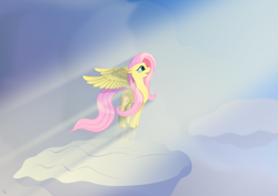 Size: 5571x3940 | Tagged: safe, artist:roadsleadme, fluttershy, pegasus, pony, cloud, cloudy, happy, smiling, solo