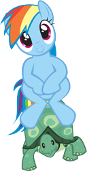 Size: 885x1728 | Tagged: safe, artist:elementaggregator, derpibooru import, rainbow dash, tank, pegasus, pony, may the best pet win, .svg available, cute, dashabetes, ponies riding turtles, riding, simple background, sitting, transparent background, vector