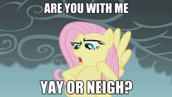 Size: 624x351 | Tagged: safe, fluttershy, pegasus, pony, female, image macro, mare, pun, yay