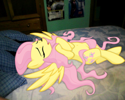 Size: 1280x1024 | Tagged: dead source, safe, artist:illuminatiums, edit, fluttershy, pony, bed, belly button, irl, on back, photo, ponies in real life, sleeping, vector