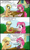 Size: 900x1494 | Tagged: safe, artist:ciriliko, artist:innuendo88, applejack, pinkie pie, earth pony, pony, creeper, spanish, translation