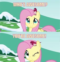 Size: 500x512 | Tagged: safe, fluttershy, bird, pegasus, pony, awesome, female, image macro, mare