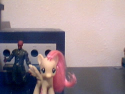 Size: 640x480 | Tagged: safe, artist:mollyketty, fluttershy, brushable, irl, photo, red skull, toy