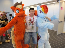 Size: 1280x960 | Tagged: safe, artist:spainfischer, applejack, rainbow dash, human, fursuit, irl, irl human, photo