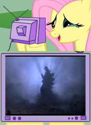 Size: 563x771 | Tagged: safe, fluttershy, kaiju, pegasus, pony, exploitable meme, fluttercry, godzilla, godzilla (series), godzilla junior, godzilla vs destoroyah, meme, tv meme