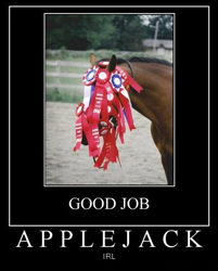 Size: 437x544 | Tagged: safe, applejack, horse, demotivational poster, irl, meme, ribbon