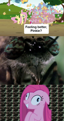 Size: 640x1202 | Tagged: safe, edit, edited screencap, screencap, fluttershy, pinkie pie, butterfly, earth pony, pegasus, pony, party of one, too many pinkie pies, contemplating insanity, female, insanity face, mare, pinkamena diane pie, scary, spongebob squarepants, wormy