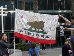 Size: 4000x3000 | Tagged: safe, fluttershy, bear, pegasus, pony, california, california flag, equestria la, photo