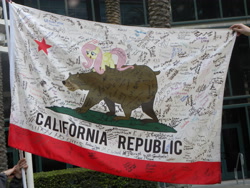 Size: 4000x3000 | Tagged: safe, fluttershy, bear, pegasus, pony, california, california flag, equestria la, photo, ponified