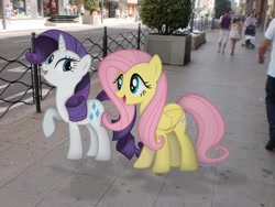 Size: 640x480 | Tagged: safe, artist:asideilogica, fluttershy, rarity, human, pony, irl, photo, ponies in real life, sidewalk, vector