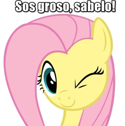 Size: 863x871 | Tagged: safe, fluttershy, pegasus, pony, female, mare, spanish, text, texto