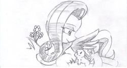 Size: 900x485 | Tagged: safe, artist:cheasyman, angel bunny, fluttershy, pegasus, pony, monochrome, traditional art