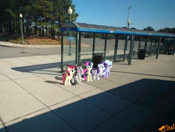 Size: 3264x2448 | Tagged: safe, artist:ojhat, bon bon, cloudchaser, octavia melody, rarity, roseluck, sweetie drops, earth pony, pony, unicorn, bus stop, ponies in real life, trash can, tree