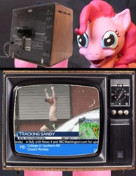 Size: 1038x1336 | Tagged: safe, pinkie pie, earth pony, pony, cable news network, cnn, exploitable meme, hoers mask, photo, realistic, tv meme