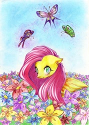 Size: 1155x1625 | Tagged: safe, artist:dannyckoo, fluttershy, pegasus, pony, female, mare, solo, traditional art