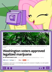 Size: 604x827 | Tagged: safe, fluttershy, pegasus, pony, exploitable meme, marijuana, meme, tv meme