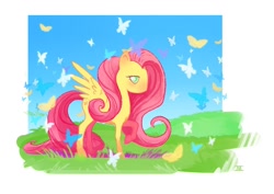 Size: 1158x818 | Tagged: safe, artist:cmaggot, fluttershy, butterfly, pegasus, pony, female, mare, pink mane, yellow coat