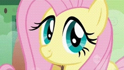 Size: 384x216 | Tagged: safe, screencap, fluttershy, pegasus, pony, a bird in the hoof, ei, hub logo, looking at you, smiling