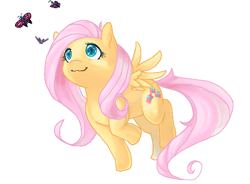 Size: 800x590 | Tagged: safe, artist:horrordance, fluttershy, butterfly, pegasus, pony, female, mare, solo